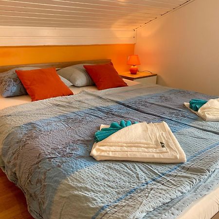 Apartments Kivi Novigrad  Ngoại thất bức ảnh