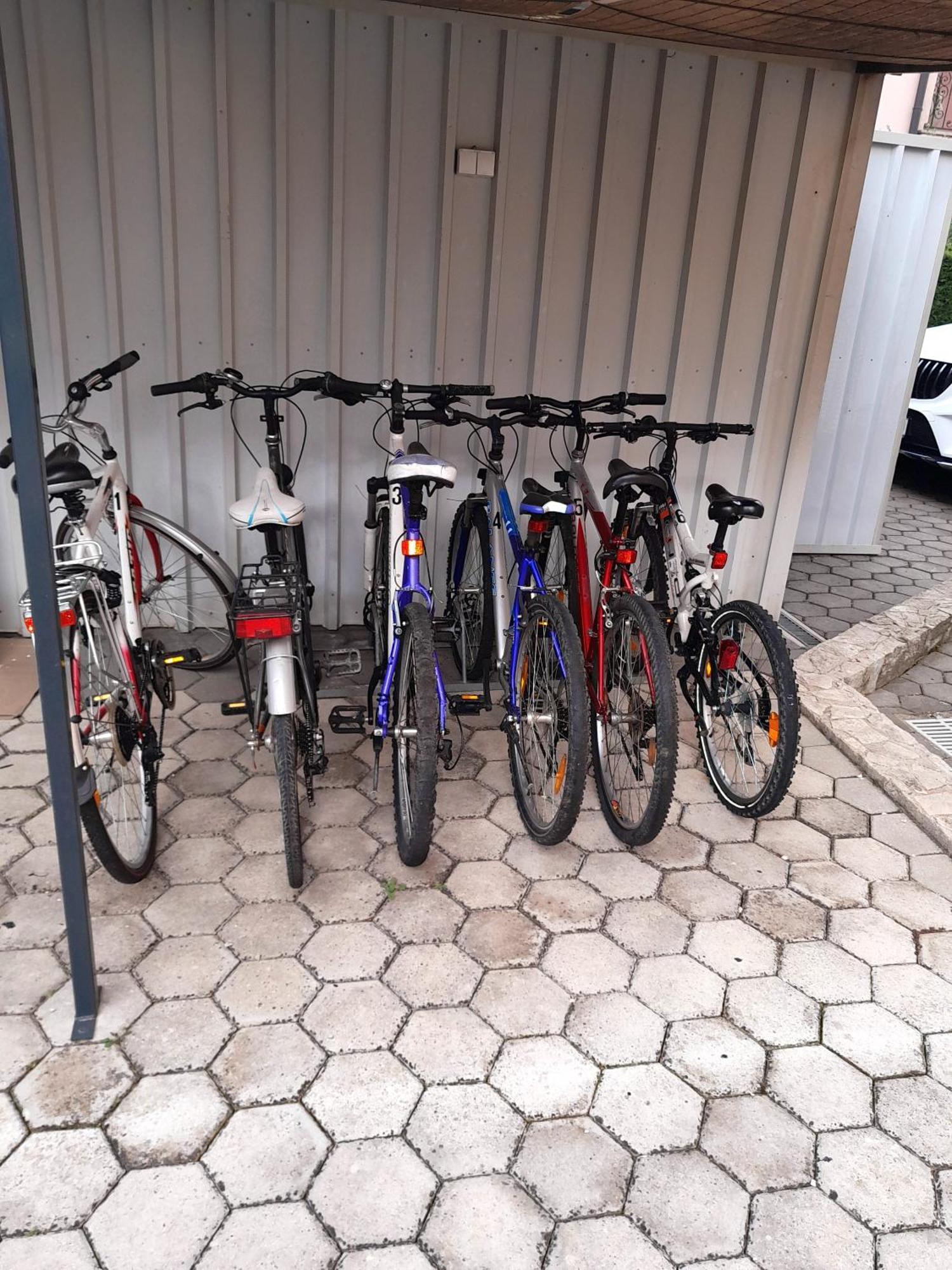 Apartments Kivi Novigrad  Ngoại thất bức ảnh