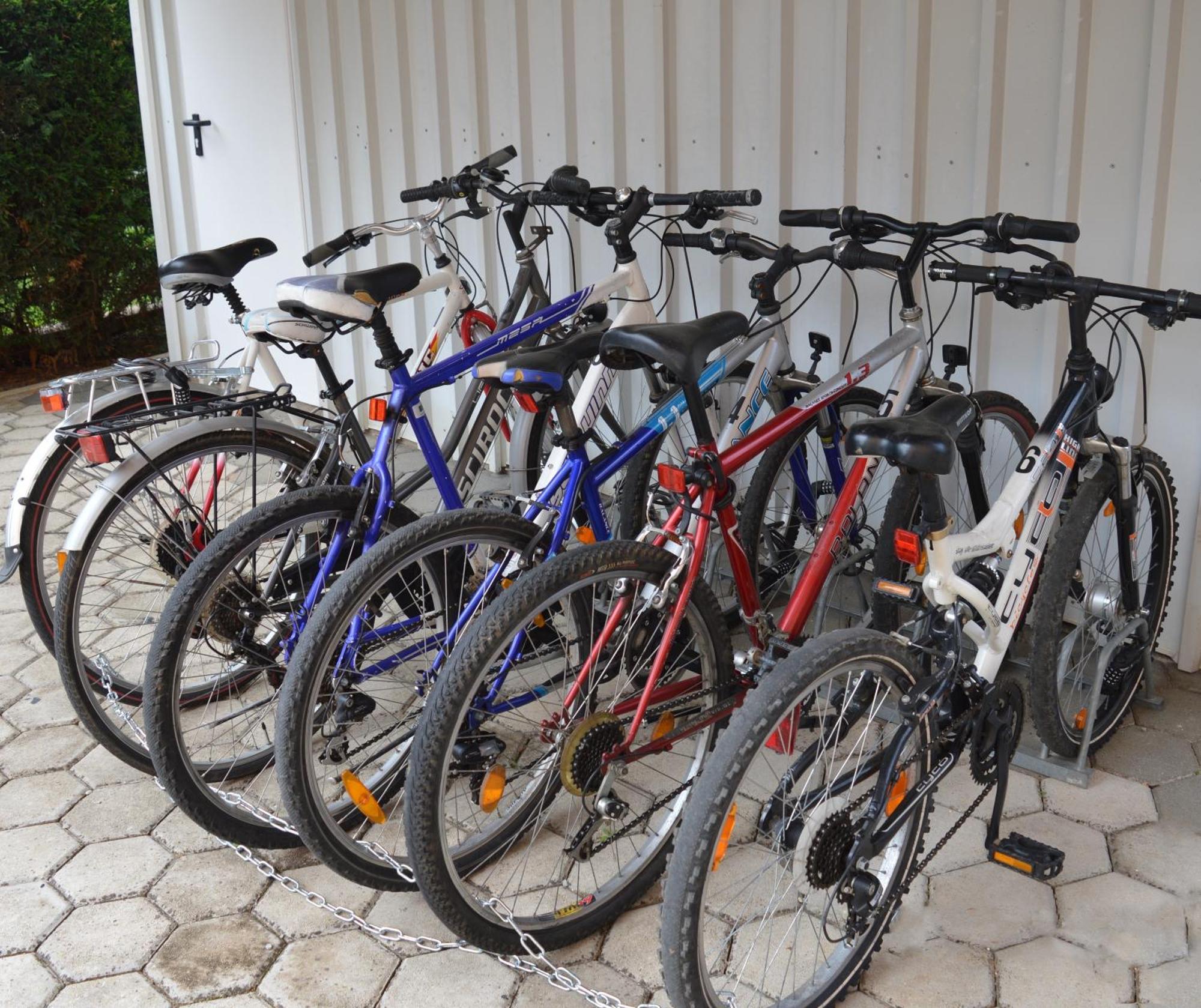 Apartments Kivi Novigrad  Ngoại thất bức ảnh