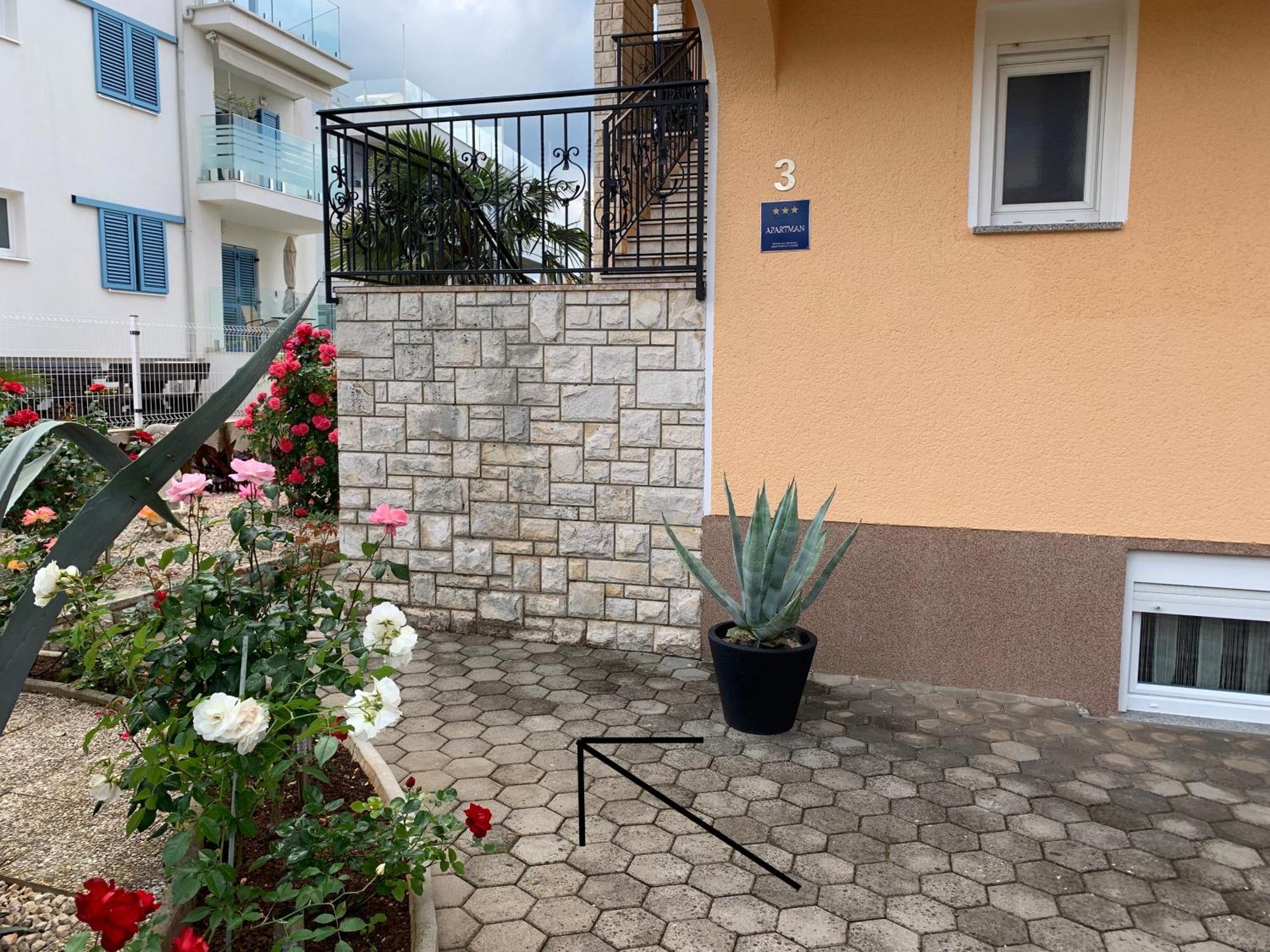 Apartments Kivi Novigrad  Ngoại thất bức ảnh